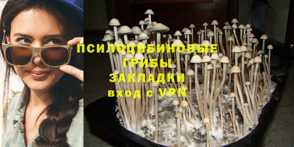 эйфоретик Алексеевка