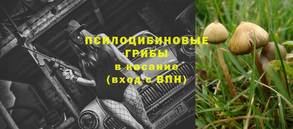 не бодяженный Алзамай
