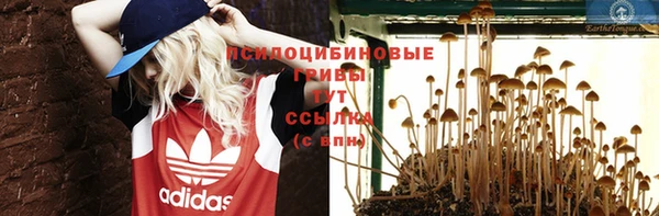 не бодяженный Алзамай