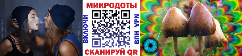 где найти наркотики  Жуков  Галлюциногенные грибы Cubensis 